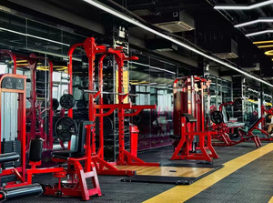 SK Fitness <b>Strength</b> <b>Training</b> Equipment Sets Commercial Machines Solutions for Fitness Centers Hotels Gyms Wellness Health Club - Product Image 3