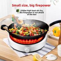 Nouvelle cuisinière à induction compacte 110V norme américaine, mini-réchaud électrique portable rond 2200W pour usage domestique et extérieur