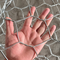 Cage de gabion hexagonale ASTM A975 galvanisée et revêtue de PVC, maille 80x100mm, fil de 2,7mm, pour la conservation des sols