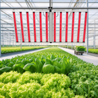 Lampe de culture pour plantes à spectre complet 3 canaux détachable 1300W, résistante à l'eau, longue durée de vie (30 000 heures d'utilisation), pour la culture en serre