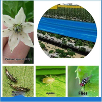 Pièges à insectes agricoles YOMO double face jaune et bleu non toxiques, rouleaux de colle solides pour tiques, vente chaude
