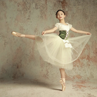 Costume de performance de ballet tutu pour adultes et filles, robe Giselle avec jupe bouffante en polyester