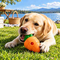 Jouet Distributeur de Friandises pour Chien en Forme de Carotte – Boule Interactif Anti-Glouton pour l'Entraînement et la Mastication – Distributeur de Nourriture pour Animaux de Compagnie