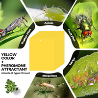 Pièges collants jaunes en gel écologiques résistants aux intempéries à faible MOQ avec colle forte pour le contrôle des insectes volants en serre