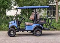 Voiturette de golf électrique personnalisable, directement de l'usine, pour usage multi-scènes (ferme, complexe hôtelier, parc d'attractions)