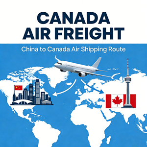 Professionele exportaangifte, douaneklaring en service voor exportbelastingrebates - Product Image 5