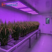 Phytotron Automatisé pour Riz, Contrôle de Température et d'Humidité, Fonctions de Système Extensibles, Fabricant de Chambres de Culture Végétale