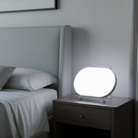 Lampe de luminothérapie LED GQ-L2 Guangqing Best Healthcare, bureau moderne à courant continu, 10 000 lux, luminosité réglable, lumière du jour