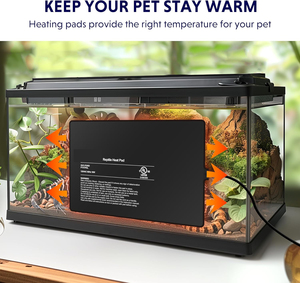 Almohadilla de calefacción para reptiles de 120V, 8*12 pulgadas, impermeable, calentador debajo del tanque para suministros para mascotas de EE. UU. - Product Image 4