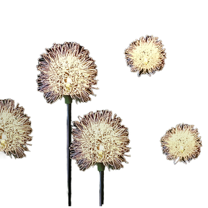 Howlighting Outdoor Waterproof PC Material Landscape Decoration Lighting Color-Changing Solar Flower <b>Led</b> Dandelion Garden <b>Lights</b> - Product Image 2