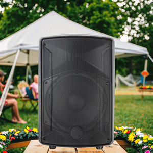 Altavoz PA Pasivo Ligero de 250W 8Ω 94dB con Carcasa de Plástico y Ruedas para <span class=keywords><strong>DJ</strong></span> Móvil y Eventos al Aire Libre - Product Image 5