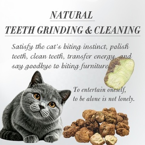 OEM ODM Hot Selling Natural Actinidia Polygama Fruit Freeze Dried Silvervine Gall Fruit Matatabi Fruit for Cat Toys - Product Image 3