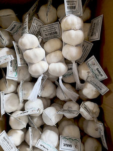 Alho Branco Normal 5 unidades/saco com Palete - Product Image 5