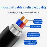 Cable blindado con cinta de acero de 1.8/3kV VV22 3+1 núcleos para ingeniería municipal y redes eléctricas subterráneas