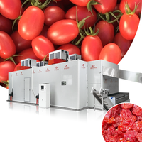 Fruitbanddroger, kersentomaten continu-banddroger, banddrogermachine, industriële fruitdroogmachine, banddroger