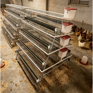 Cage à poules pondeuses de type A à 4/5 niveaux pour élevage avicole, avec système d'alimentation et d'abreuvement - Product Image 6