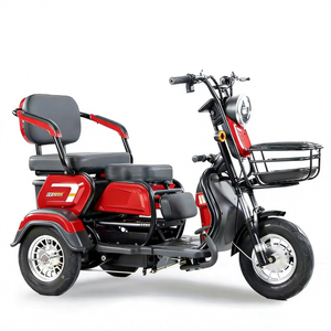 Tricycle pour seniors en promotion directe usine |   Ouvrir |   Moteur 600W-1000W |   Charge utile de 200-300 kg |   Conception stable |   pour - Product Image 6