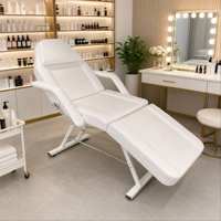 Silla de Tatuaje Facial con Color Personalizado, Ajustable 180° °   Camilla de Masaje Plana para Salón de Belleza