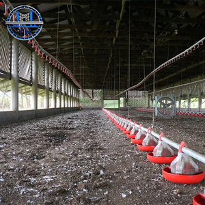 Poulailler commercial préfabriqué moderne avec structure en acier, <span class=keywords><strong>hangar</strong></span> pour poules pondeuses pour ferme avicole à <span class=keywords><strong>vendre</strong></span> - Product Image 6