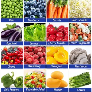Весы для салата, овощей и фруктов, автоматические многоходовые весы, 10 ведер для упаковочной машины