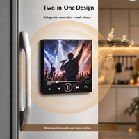 Cadeau de soutien pour fans de célébrités, aimant de réfrigérateur musical personnalisé, lecteur de musique magnétique NFC, concert