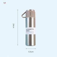Ensemble cadeau de bouteille isotherme en acier inoxydable double paroi 304, thermos, bouteille d'eau isolée pour les voyages d'affaires, les voyages en voiture, pour hommes
