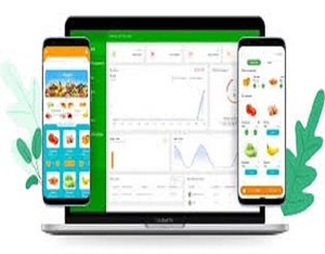 RoyalCraft Customer On-Demand Delivery (Food Groceries) App <b>Development</b> for MAC Internet Version in Stock - Product Image 1