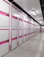 Mini entrepôt en acier galvanisé fabriqué en Chine à prix abordable, casier de rangement autoportant personnalisé, unité de stockage à vendre