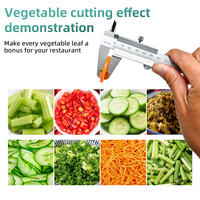 Automatische groente snijmachine met digitale besturing, fruit snijder en -dicer, elektrische voedselprocessor voor moderne restaurantketens