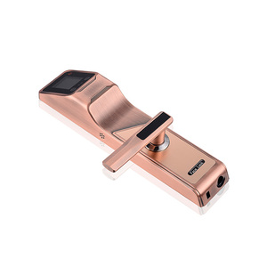 Huarui HR605 intelligent étanche serrure de <span class=keywords><strong>porte</strong></span>, serrure de <span class=keywords><strong>porte</strong></span> extérieure, serrure de <span class=keywords><strong>porte</strong></span> intelligente pour <span class=keywords><strong>porte</strong></span> <span class=keywords><strong>coulissante</strong></span> en verre - Product Image 3