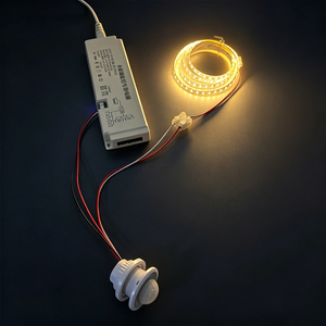 Détecteur <span class=keywords><strong>de</strong></span> <span class=keywords><strong>mouvement</strong></span> PIR intelligent <span class=keywords><strong>avec</strong></span> télécommande 5V/12V/24V, interrupteur infrarouge domestique 110V/220V, interrupteur d'éclairage à temporisation réglable - Product Image 4
