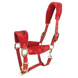 HE5600 Customized Nylon Horse <b>Halter</b> with Premium Hardware Buckles PP Webbing Brass Steel Soft & Durable 10-18.5 Inch Size - Product Image 6