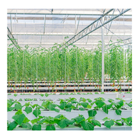 HUIFA Grande serre hydroponique de haute qualité en poly film plastique Serre tunnel agricole commerciale pour plante