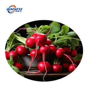 天然色素にんじんエキス濃縮赤大根色カラフルな発酵食品 & フレーバー用 - Product Image 3