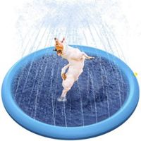 Meilleur tapis aquatique gonflable antidérapant pour enfants et chiens, jeux aquatiques amusants pour l'été en plein air