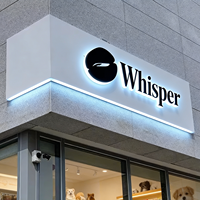 Letrero Retroiluminado con Acabado Espejo Dorado Premium, Logotipo 3D Brillante LED, Decoración de Pared para Spa Profesional, Salón de Belleza y Joyería