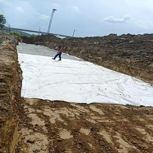 PP PET <span class=keywords><strong>200g</strong></span> <span class=keywords><strong>Noir</strong></span> Blanc Non-Tissé <span class=keywords><strong>Géotextile</strong></span> Tissu Style De Design Industriel pour Géotextiles De Barrage D'enfouissement - Product Image 4