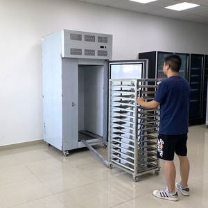 Congelador IQF para Frutas <span class=keywords><strong>Duran</strong></span> con Tecnología de Túnel de Congelación Rápida, Congelador para Bayas con Compresor Tecumseh - Product Image 1