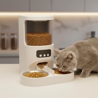 Bol en acier inoxydable écologique, double alimentation, distributeur automatique intelligent de nourriture pour chiens et chats de petite et moyenne taille