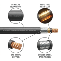 Cable Subterráneo Blindado SWA con Aislamiento XLPE, Resistente al Fuego, Cu/XLPE/SWA/LSZH, 0.6/1kV, Bajo Humo, Cero Halógenos, Conductor de Cobre