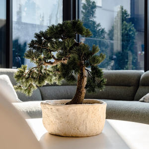 Árbol artificial elegante para decoración del hogar, uso en interiores, hojas realistas, material duradero, perfecto para sala de estar y dormitorio - Product Image 2