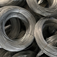 Ms Hot Dipped Electro Gi Fil d'acier galvanisé avec AISI 1008 1006 0.3mm 2mm 4mm 6.5mm ASTM 6 8 9 10 12 14 18 20 Gauge