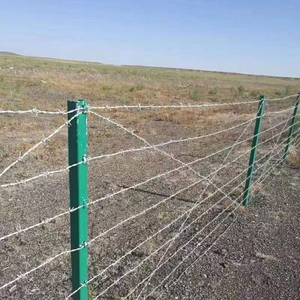 Malla de Alambre de Púas Galvanizado por Inmersión en Caliente de Alta Seguridad para Cárceles/Aeropuertos/Granjas - Product Image 5