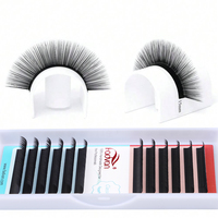 Extensions de cils classiques professionnelles, longues et naturelles, en fibre PBT coréenne, faites à la main, 0.07 0.05, plateaux de cils volume Easy Fan