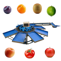 Máquina clasificadora de peso multifuncional CALIBREX pequeña, fabricada en Francia, para frutas pequeñas y medianas