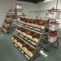 Cage à poules pondeuses de type A, galvanisée, équipement de batterie avicole pour l'élevage commercial de poules pondeuses – Vente directe usine