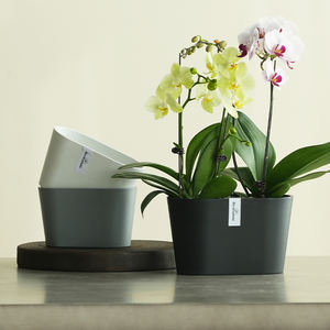 DEREK V--Venta Directa <span class=keywords><strong>de</strong></span> Fábrica, <span class=keywords><strong>Macetas</strong></span> y Jardineras para Decoración del Hogar, <span class=keywords><strong>Macetas</strong></span> Minimalistas Ecológicas para Plantas <span class=keywords><strong>de</strong></span> Interior - Product Image 6