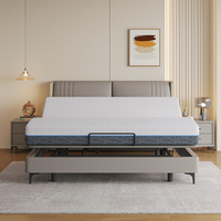 Healthtech Cadre de lit réglable Cadre de lit double queen size Lit et matelas réglables en deux parties