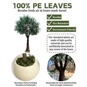 Olivo Artificial de Larga Duración, Planta <span class=keywords><strong>Verde</strong></span> Decorativa para Centros Comerciales, Atrios, Clubes y Residencias - Product Image 2