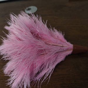 <span class=keywords><strong>Plumeau</strong></span> d'autruche <span class=keywords><strong>rose</strong></span> doux manche en bambou <span class=keywords><strong>plumeau</strong></span> de nettoyage portable plumeaux colorés - Product Image 5